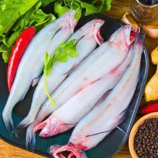 Bombil/ Bombay Duck/ बॉम्बिल