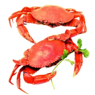 Crab/ केकडा