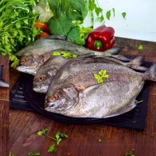 Black Pomfret/ Halwa/ हलवा